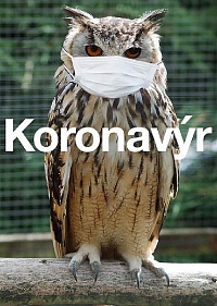 A tady je ten, co nás (ve dne v noci) pronásleduje :-) Pro "škarohlídy" upřesňuji, že je "to" samozřejmě myšleno v legraci :-) Vždyť dle lékařských doporučení se nemáme rozčilovat :-)