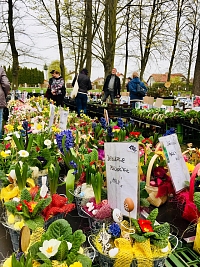 Jaro už je tady - a pestrá květinová nabídka, v niž nechybí vajíčka, králíčci a další velikonoční symboly :-)